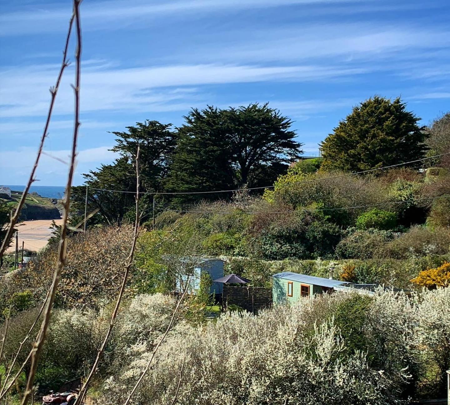 Tides Reach, Deluxe Shepherds Hut 1, 100M From The Beach St Merryn Extérieur photo