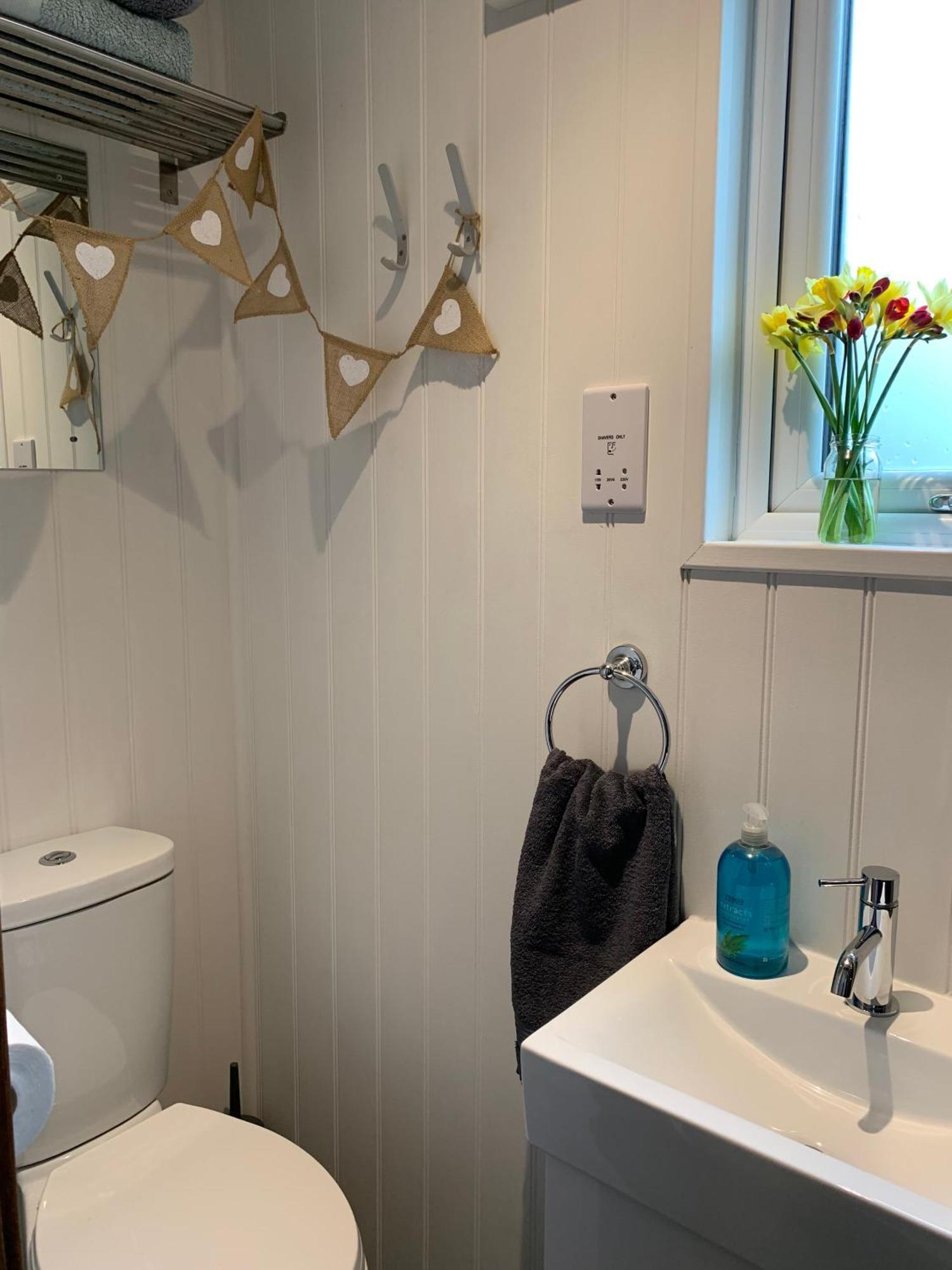 Tides Reach, Deluxe Shepherds Hut 1, 100M From The Beach St Merryn Extérieur photo